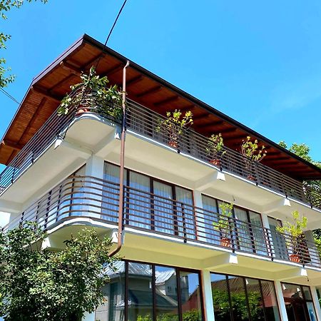 Casa Ionut Hotel Borsa  Luaran gambar