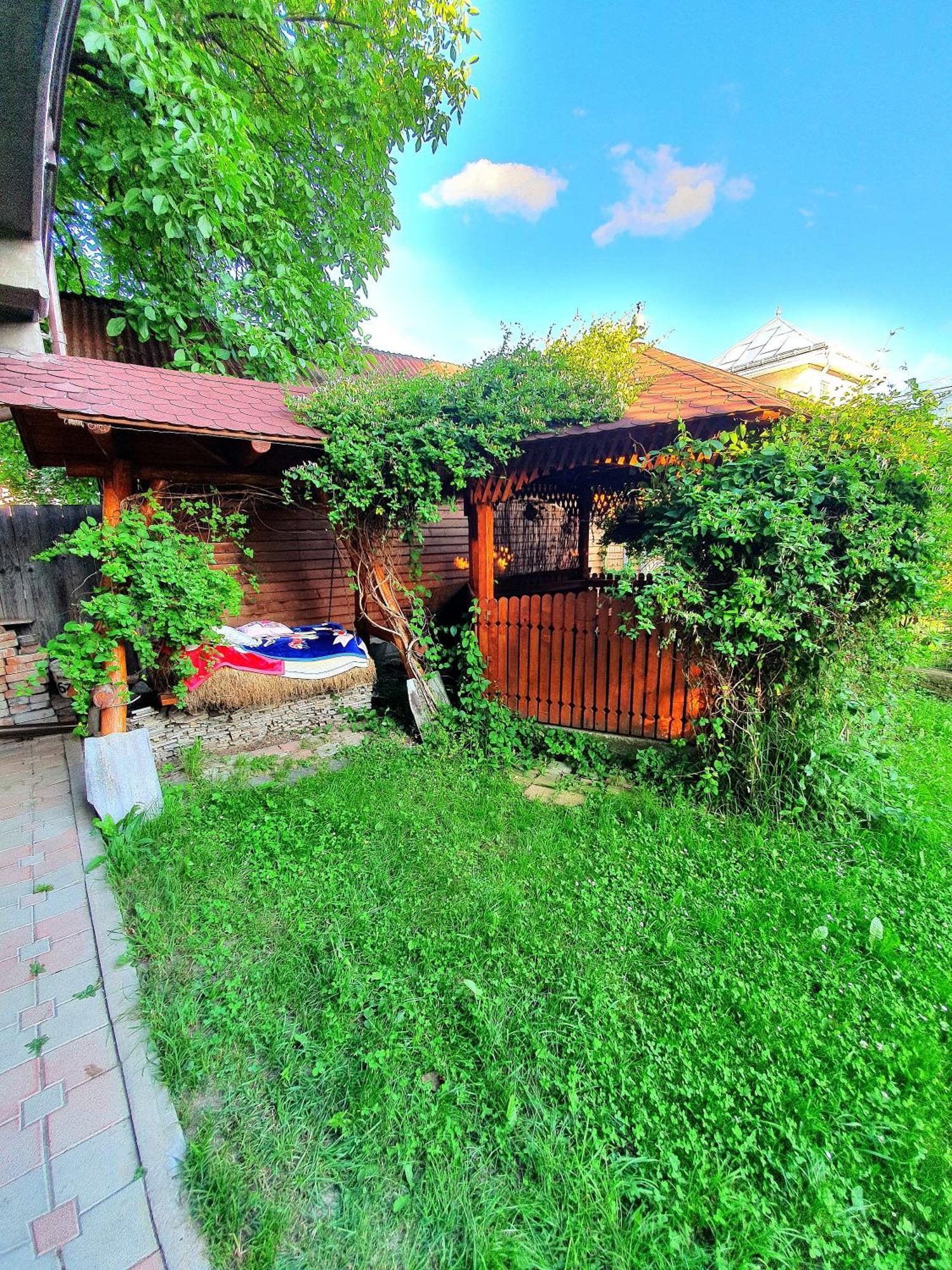 Casa Ionut Hotel Borsa  Luaran gambar